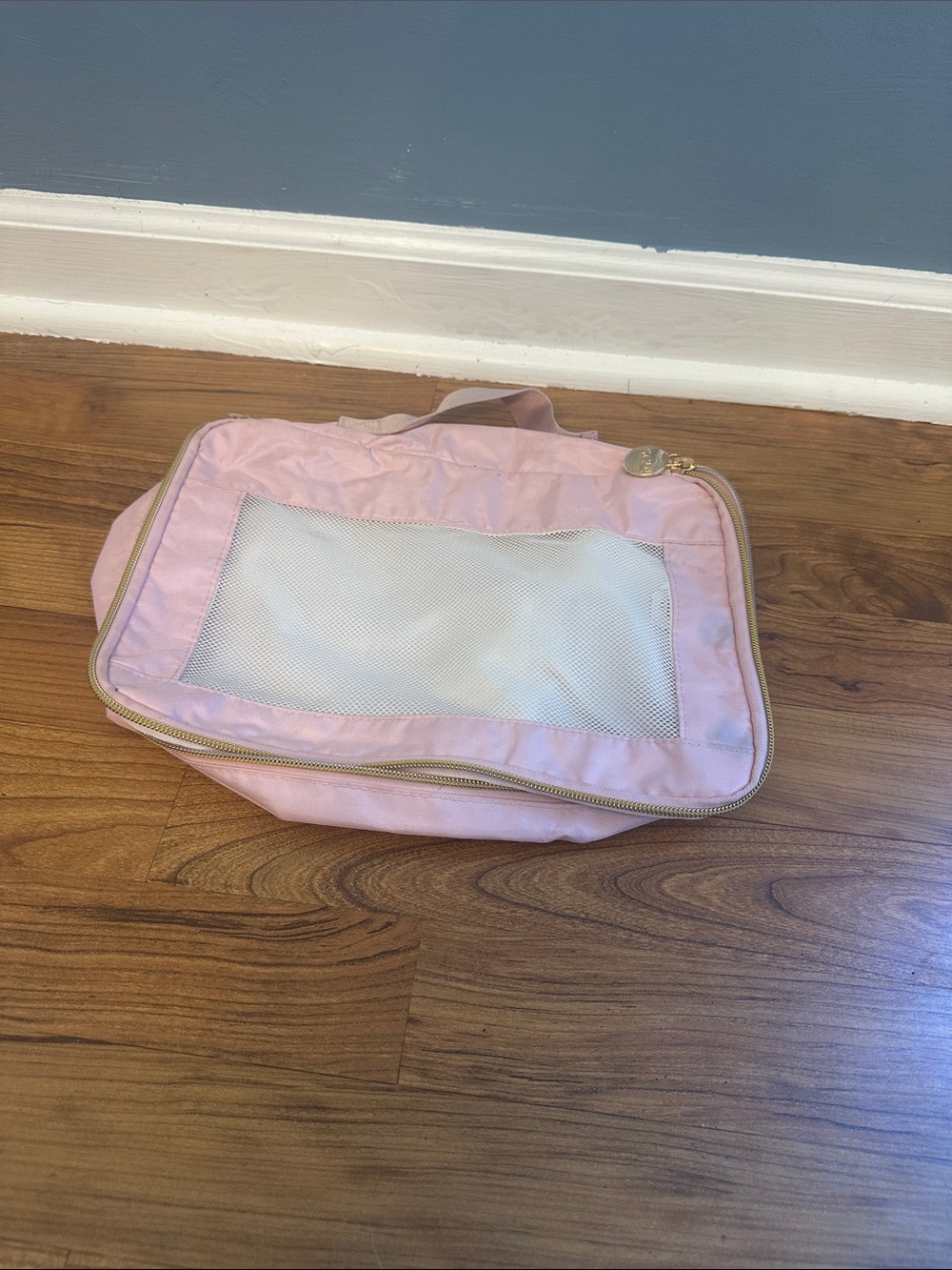 Light Pink Travel Cosmetic Pouch with Mesh Window